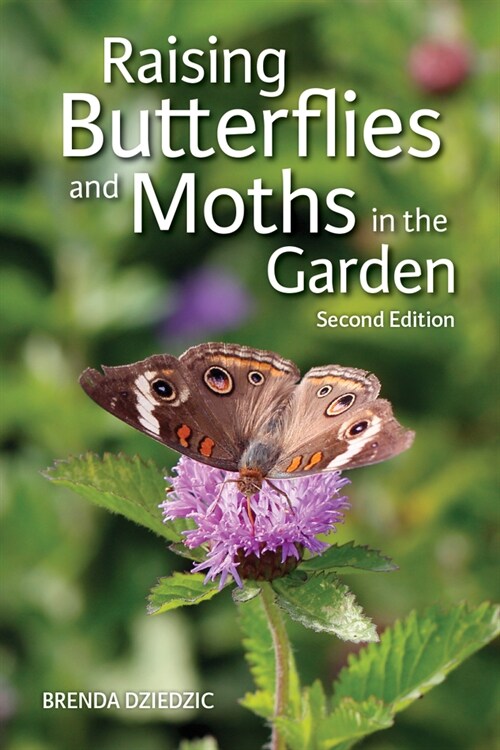 Raising Butterflies and Moths in the Garden (Paperback, 2)