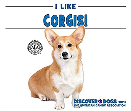 I Like Corgis!