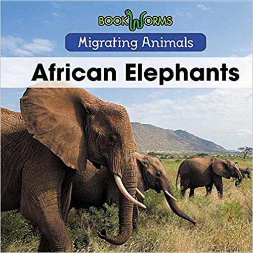 African Elephants
