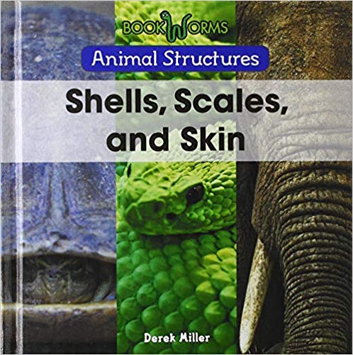 Shells, Scales, and Skin