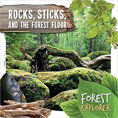 Rocks, Sticks, and the Forest Floor