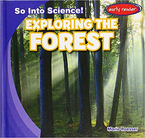 Exploring the Forest
