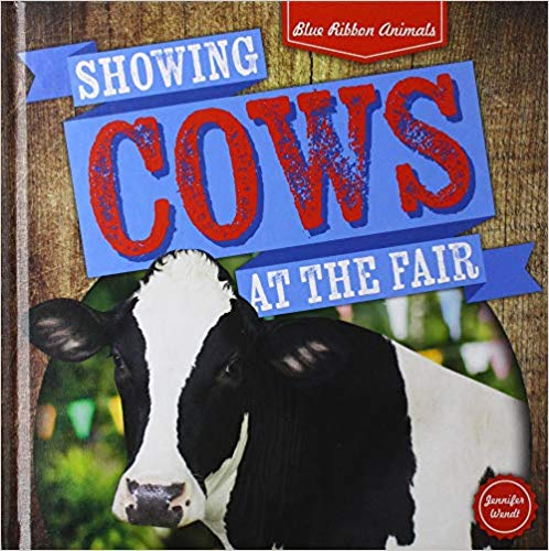 Showing Cows at the Fair