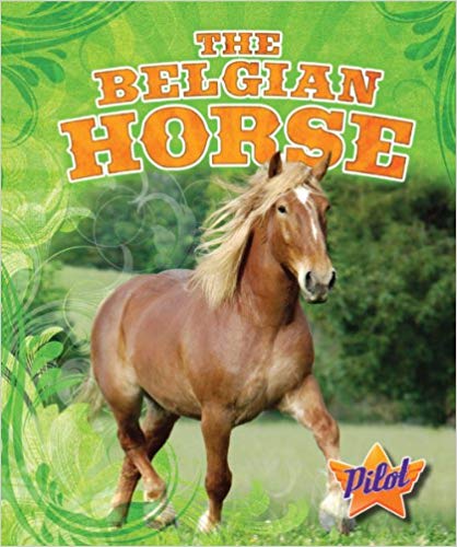 The Belgian Horse
