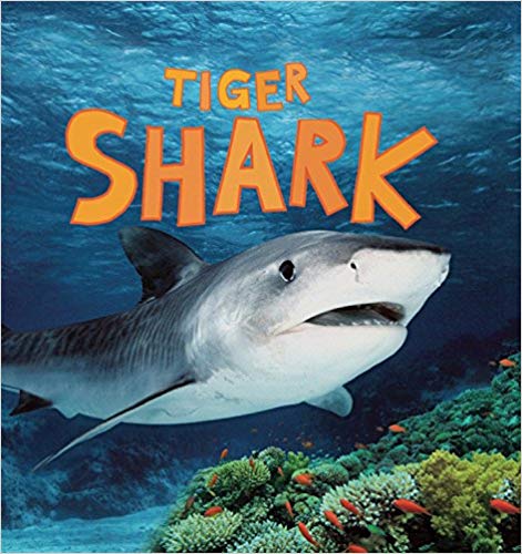 Tiger Shark
