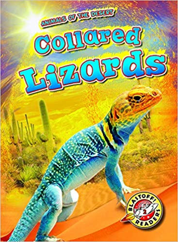 Collared Lizards
