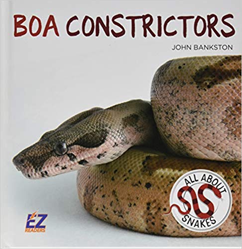 Boa Constrictors