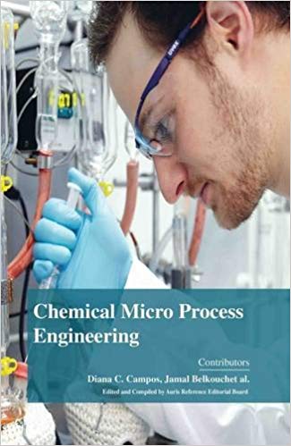 Chemical Micro Process Engineering