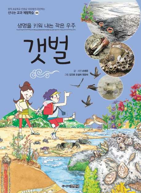 갯벌