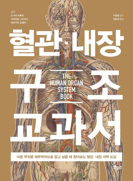 혈관.내장 구조 교과서