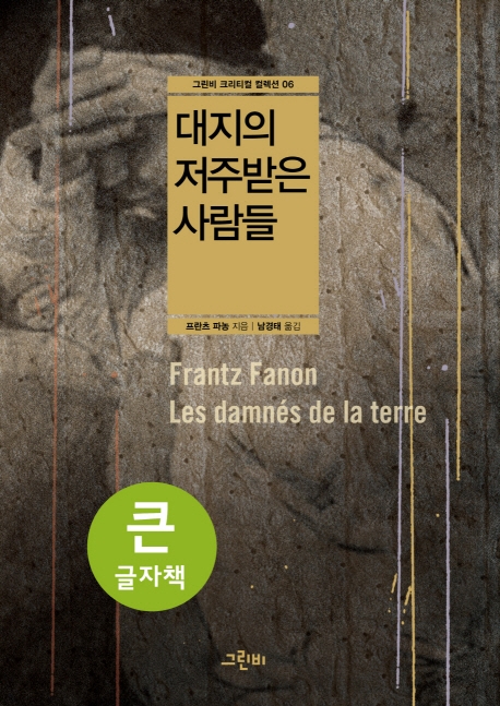 (큰글자책)대지의 저주받은 사람들