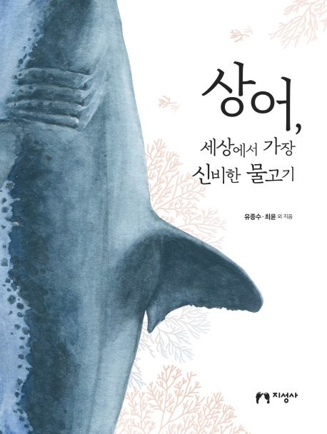 상어, 세상에서 가장 신비한 물고기