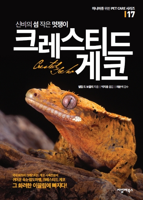 신비의 섬 작은 멋쟁이 크레스티드 게코