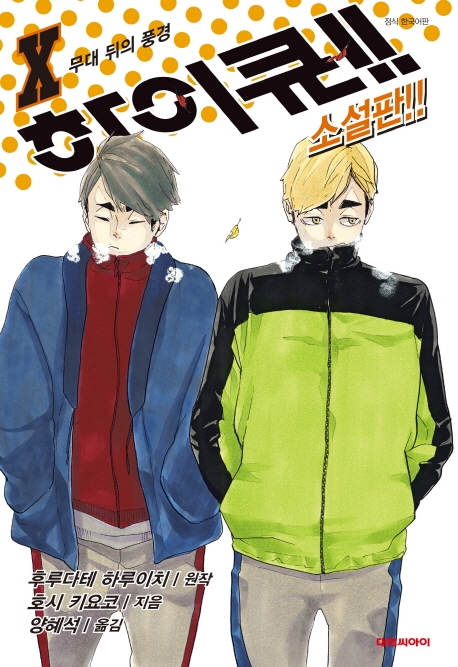 하이큐!!소설  10