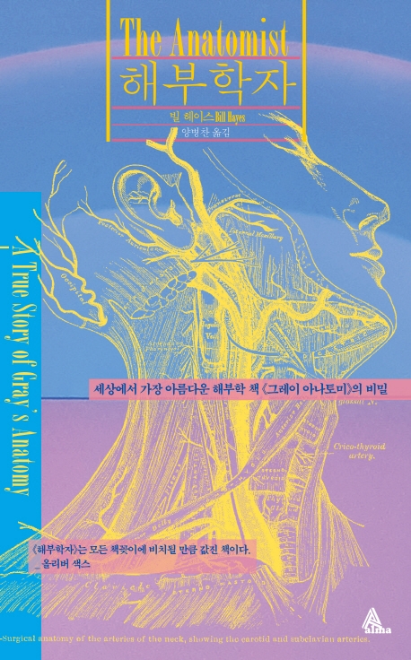 해부학자