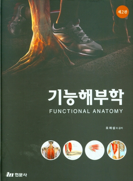기능해부학