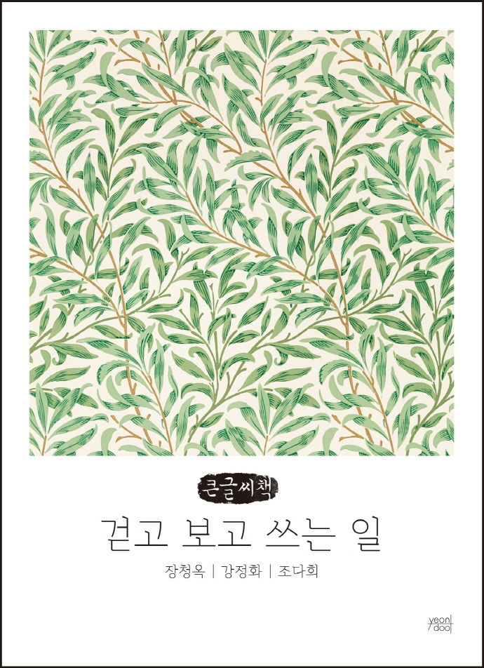 걷고 보고 쓰는 일 (큰글씨책)