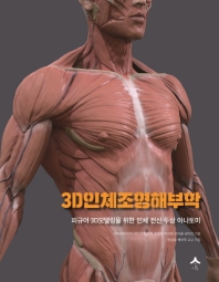3D 인체조형해부학
