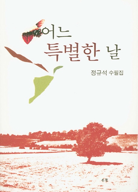 어느 특별한 날