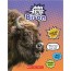 Bison (Wild Life Lol!) (Library)