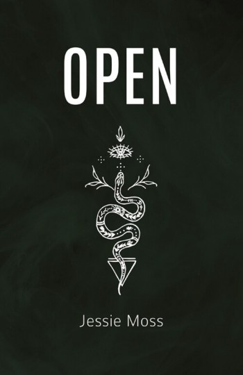 [POD] Open (Paperback)