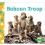 Baboon Troop