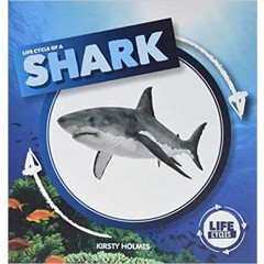 Life Cycle of a Shark