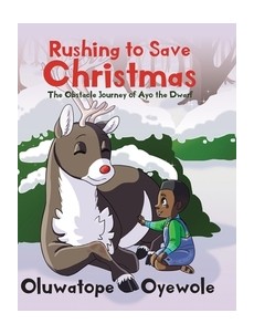 Rushing to Save Christmas: The Obstacle Journey of Ayo the Dwarf