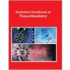 Illustrated Handbook of Nanochemistry