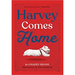 Harvey Comes Home