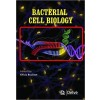 Bacterial Cell Biology