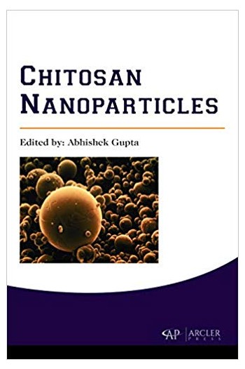 Nanoparticle Surface and Curvature
