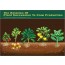 The Relation Of Plant Succession To Crop Production