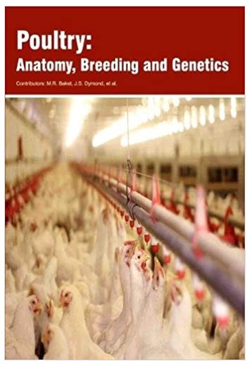 Poultry:  Anatomy, Breeding and Genetics