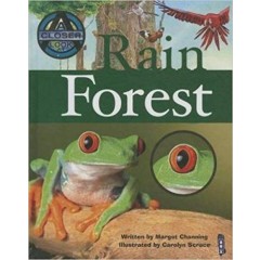 Rain Forest