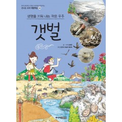 갯벌