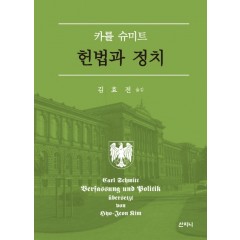 헌법과 정치