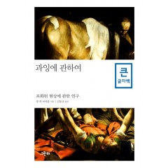 (큰글자책) 과잉에 관하여