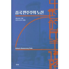 중국 민주주의 노선