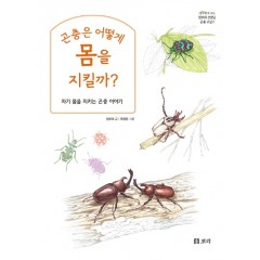 곤충은 어떻게 몸을 지킬까?
