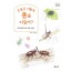 곤충은 어떻게 몸을 지킬까?