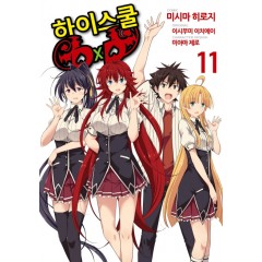 하이스쿨 DXD11권
