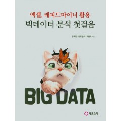 엑셀, 데이터마이너 활용 빅데이터 분석 첫걸음